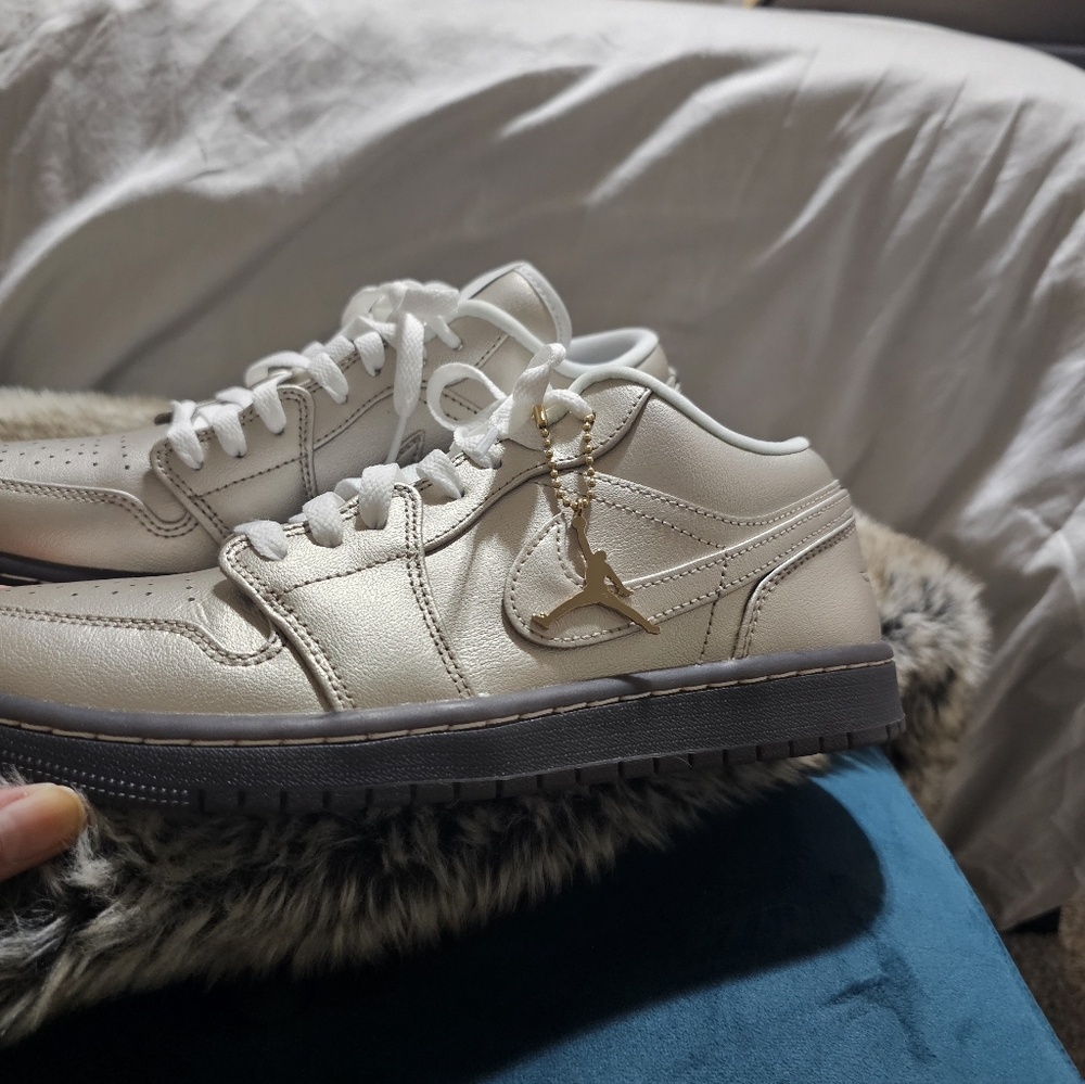 Gold/Pewter Jordan's-worn twice